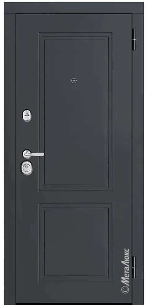 Входная дверь Металюкс М448 Е5