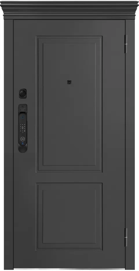 Входная дверь Металюкс М-SP 1012 Е