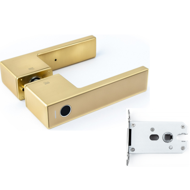 Gimmel F11 TTLock Золотой
