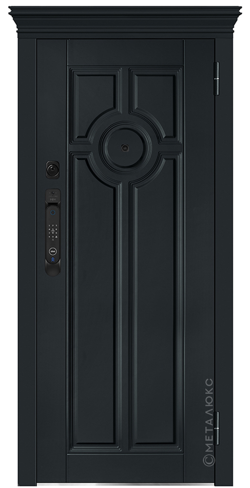 Входная дверь Металюкс М-SP 1038 Е